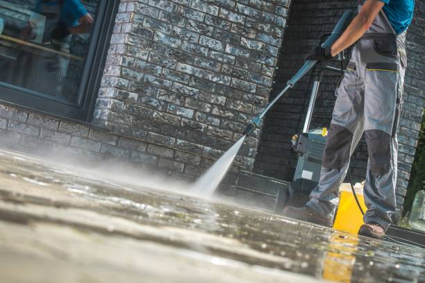 Best Sidewalk and Walkway Cleaning  in Iceville, AL