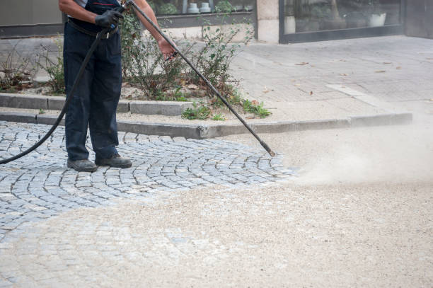 Best Roof Washing  in Iceville, AL