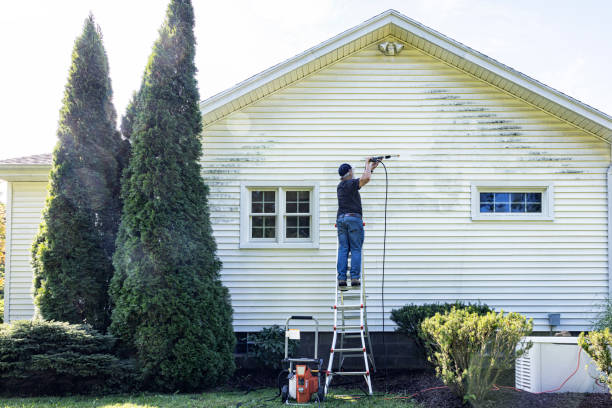 Best Patio and Deck Pressure Washing  in Iceville, AL